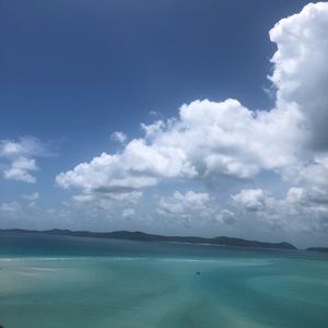 Meet your Posher, Isabella